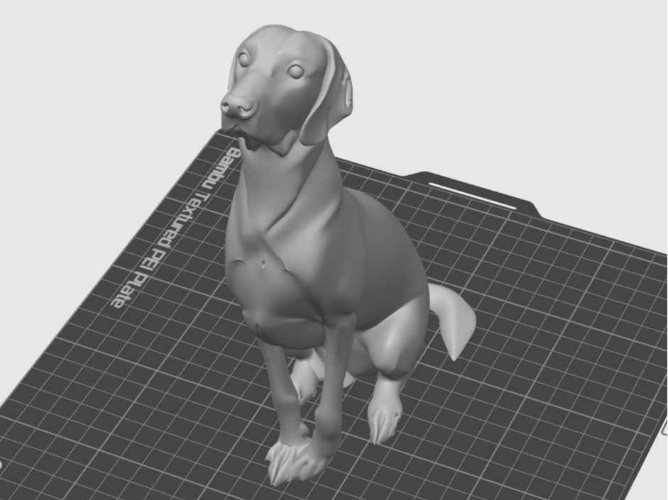 Realistic Weimaraner Dog – Sitting Pose