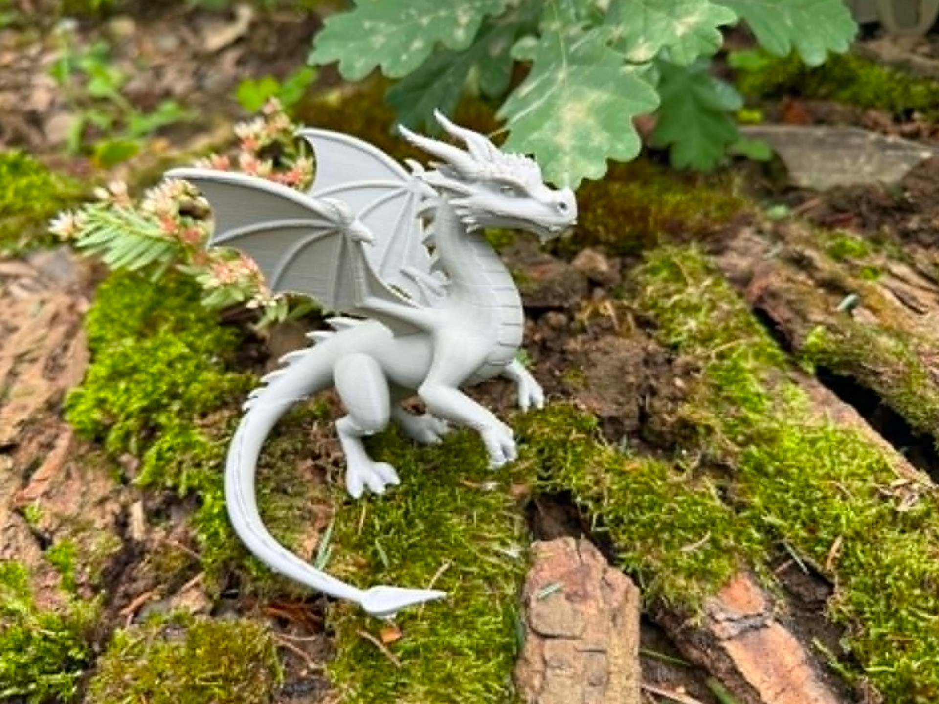 Fantastic Dragon sits