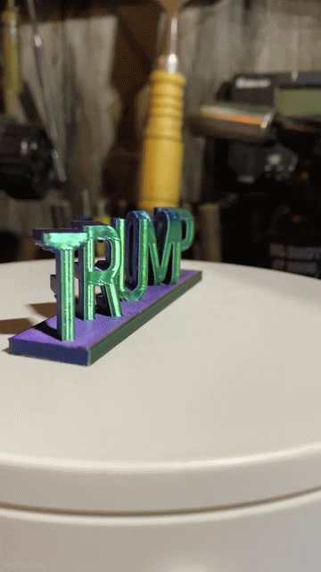 Trump/Felon Ambigram