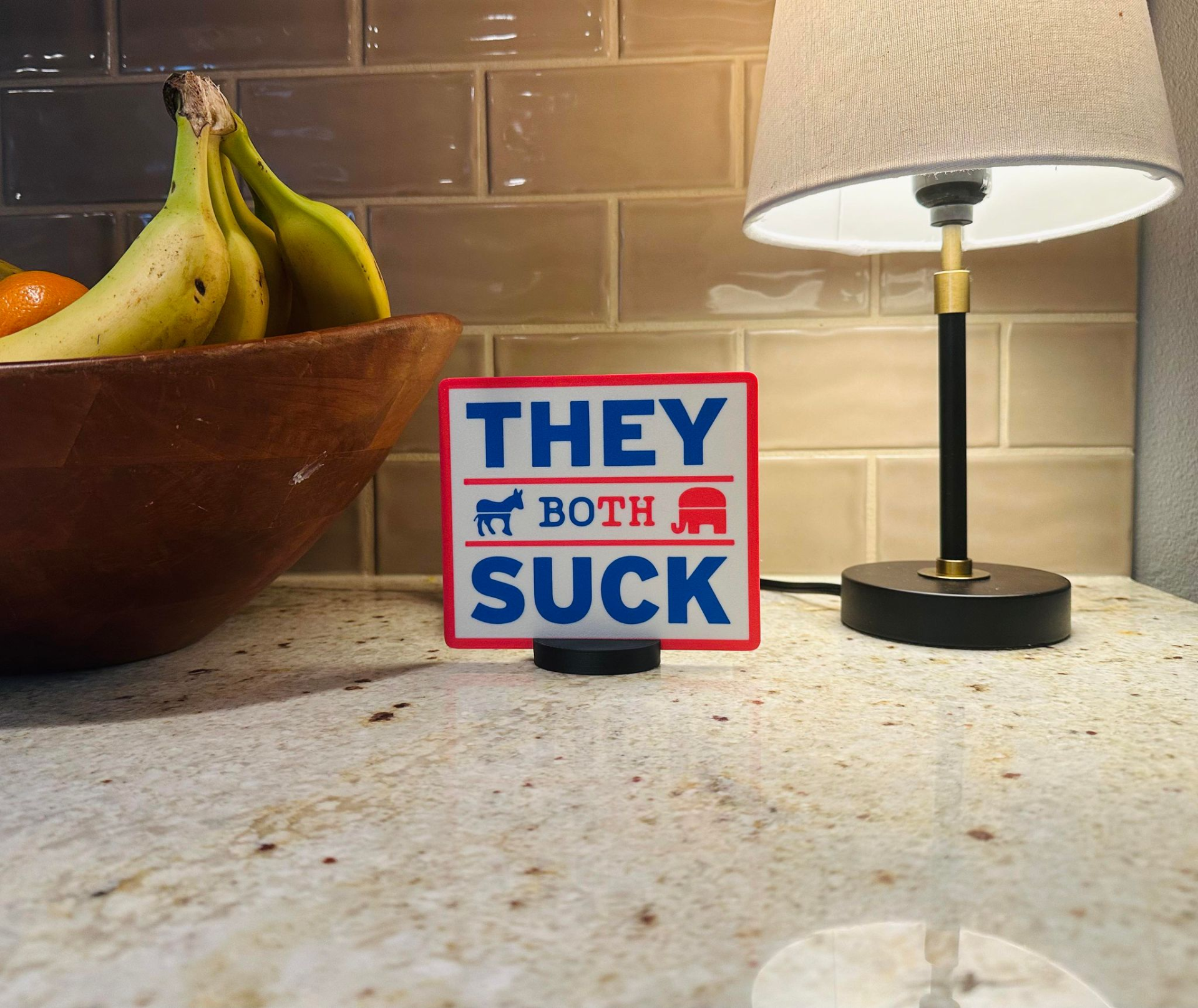 Politics Fun