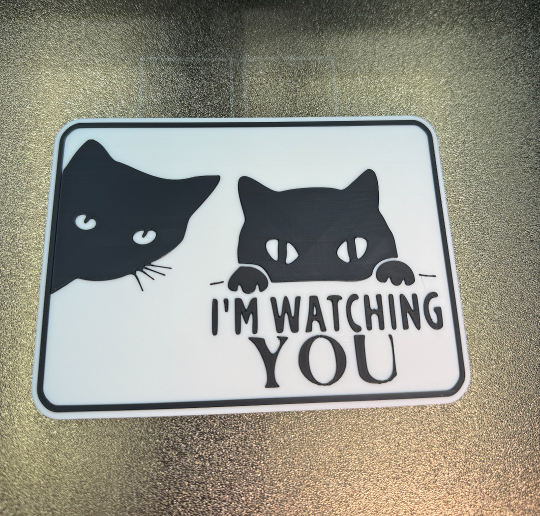 I'M WATCHING YOU CAT SIGN
