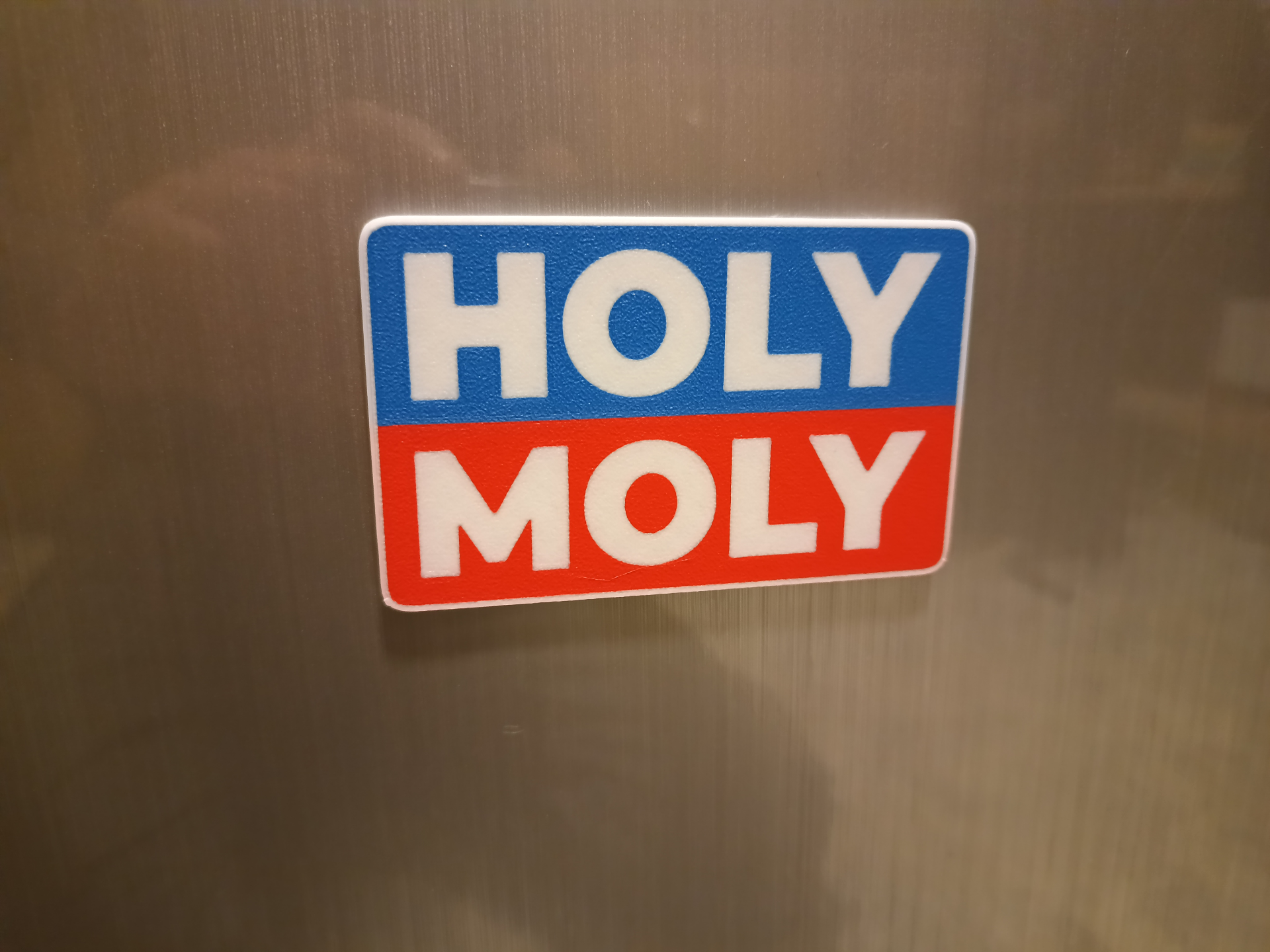 Holy Moly Kühlschrankmagnet
