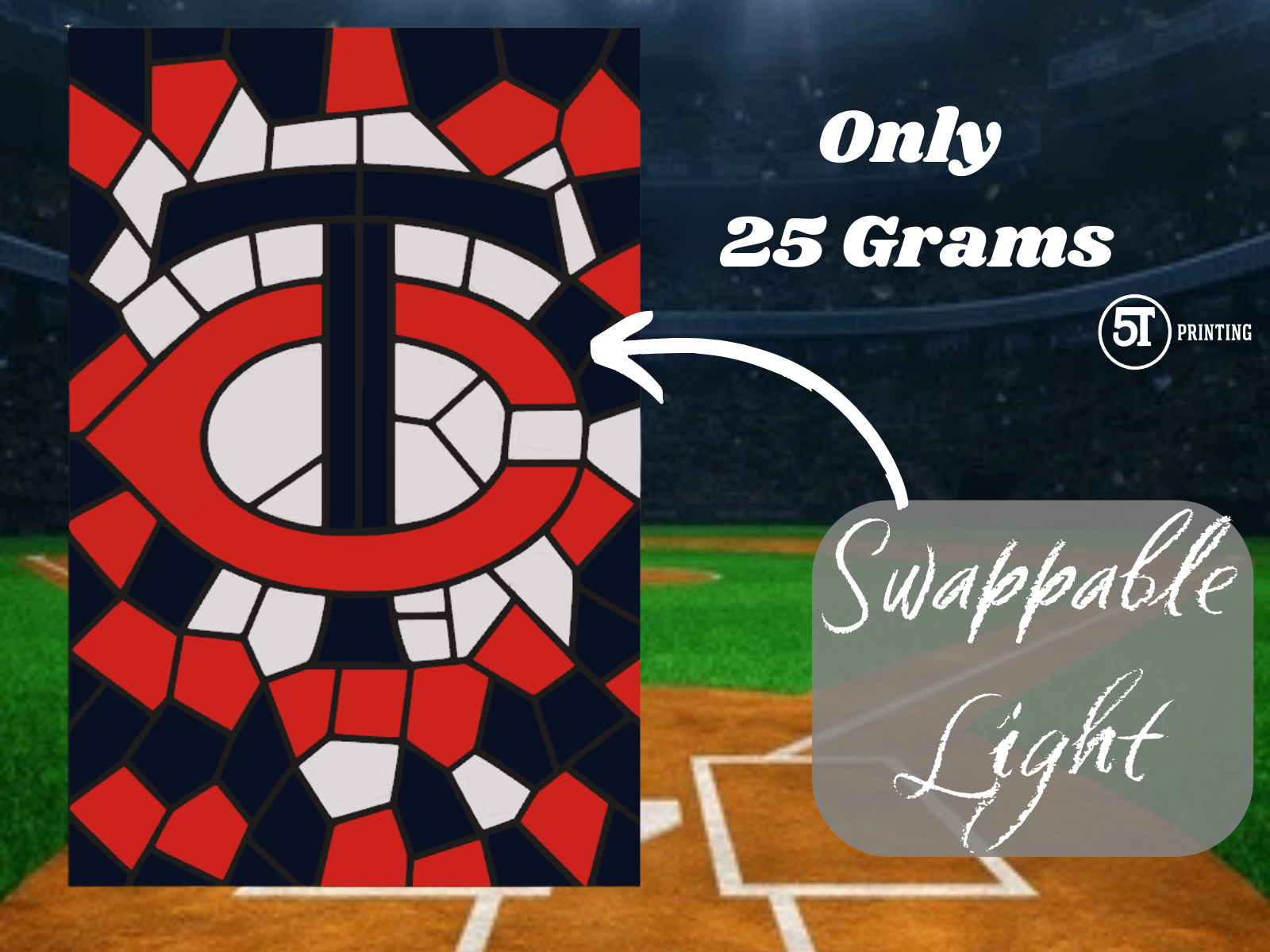 Minnesota Twins light (swappable glass)