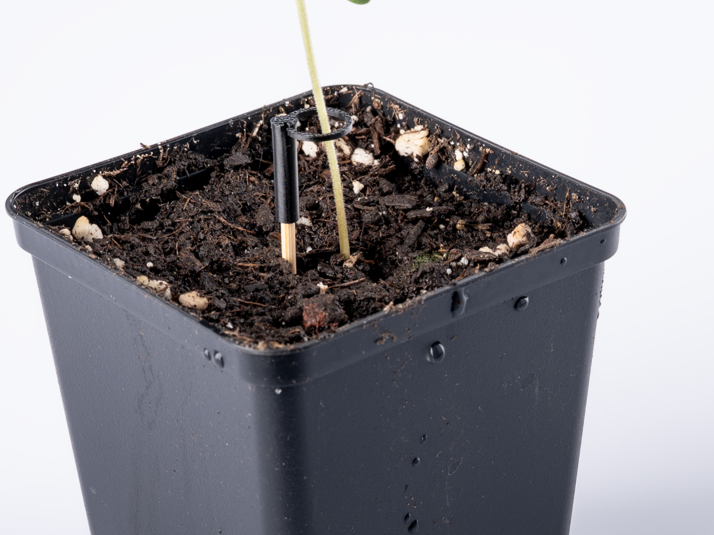 Eco Friendly Seedling Support Clip