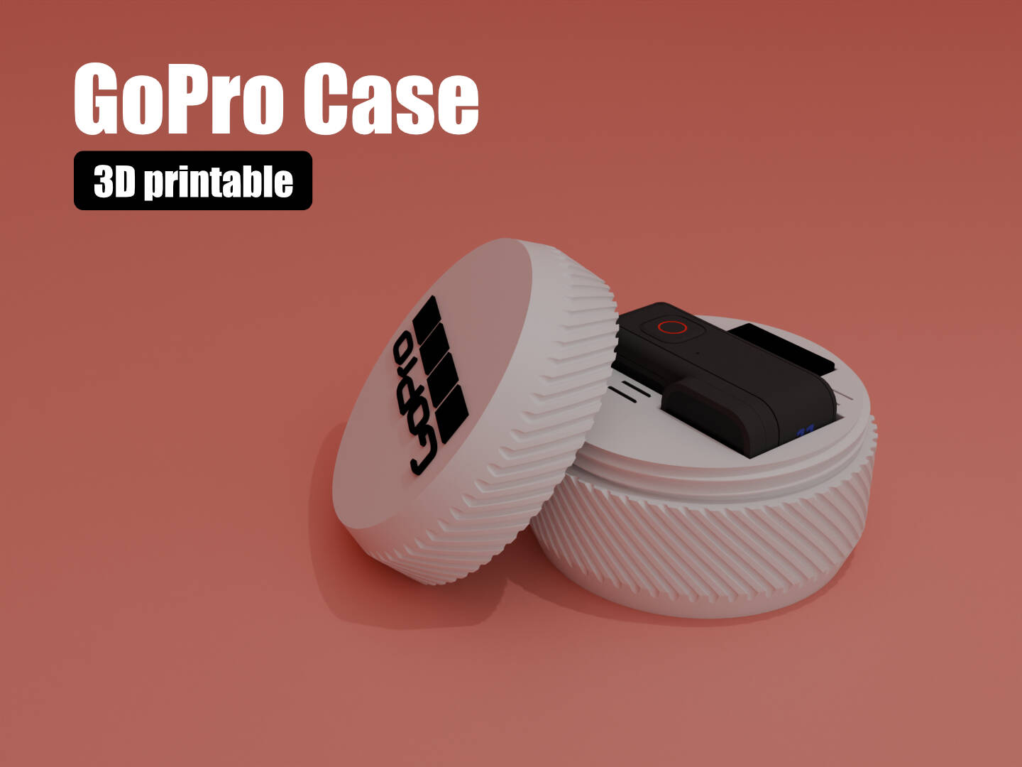Go Pro Case