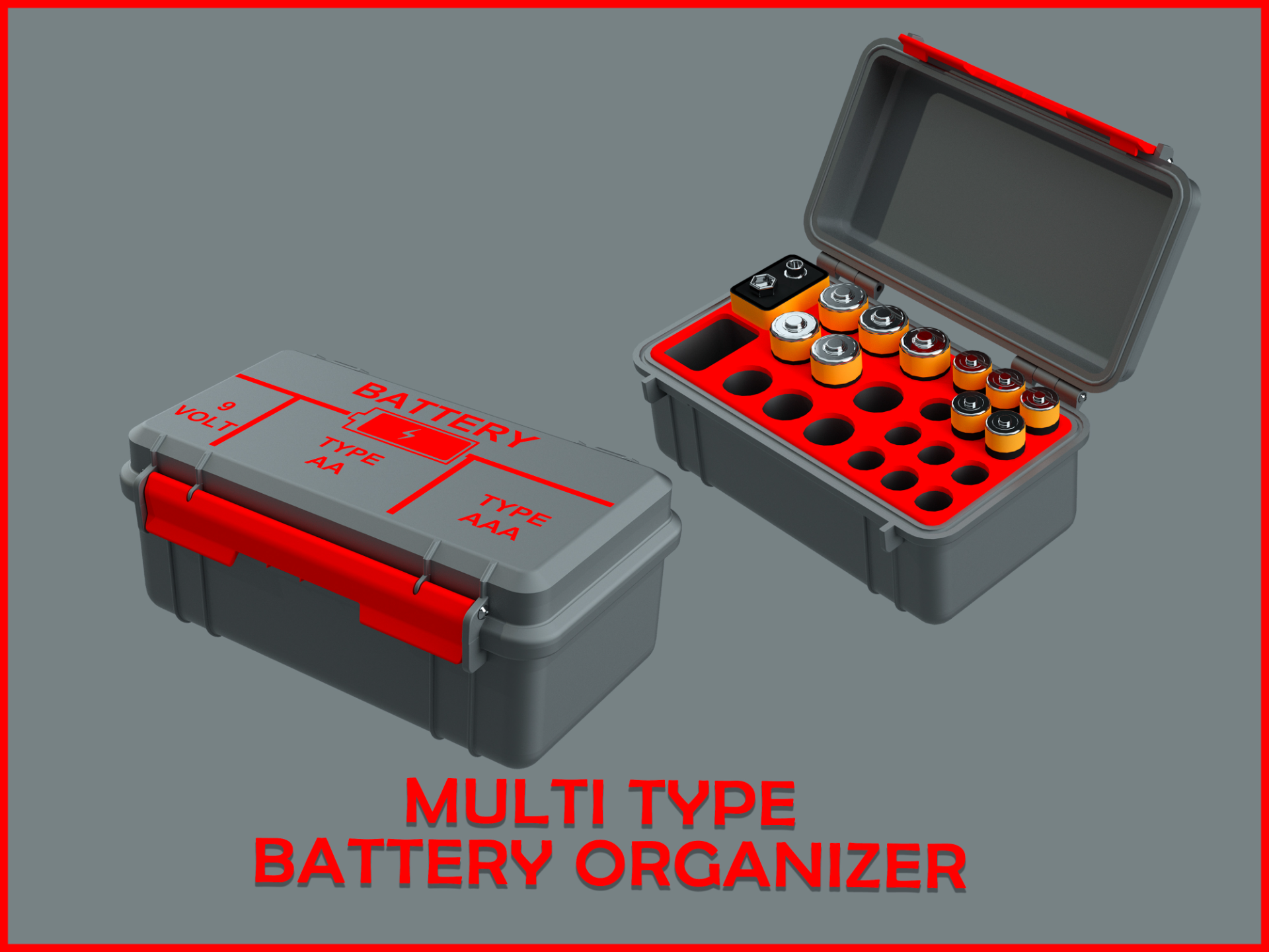 Multi Type battery organizer