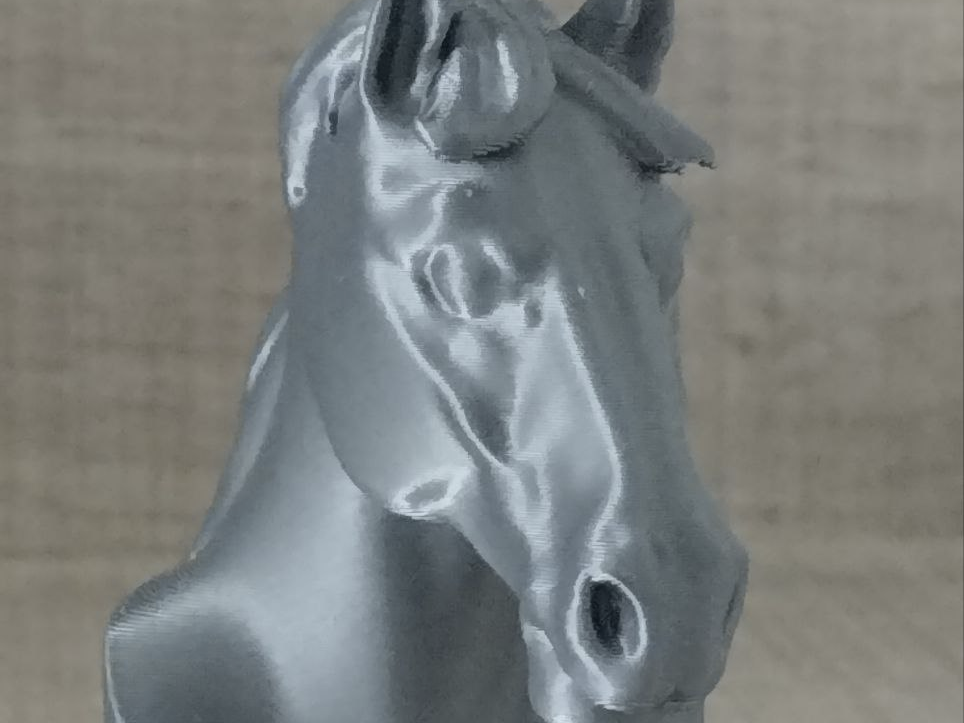BUSTO CABALLO