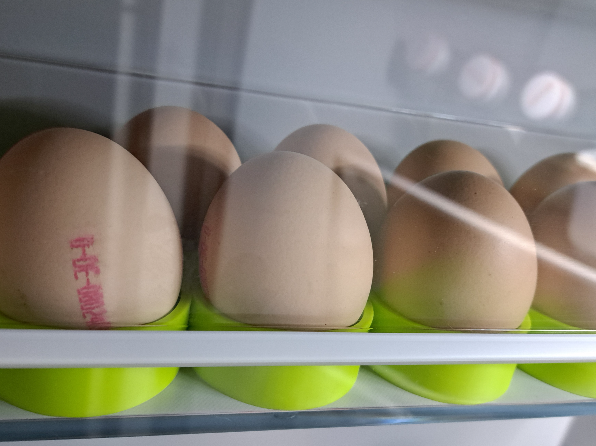 Eierständer
