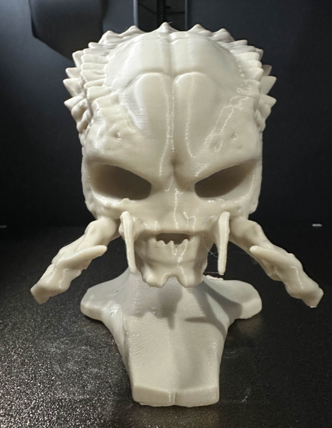 busto craneo predator
