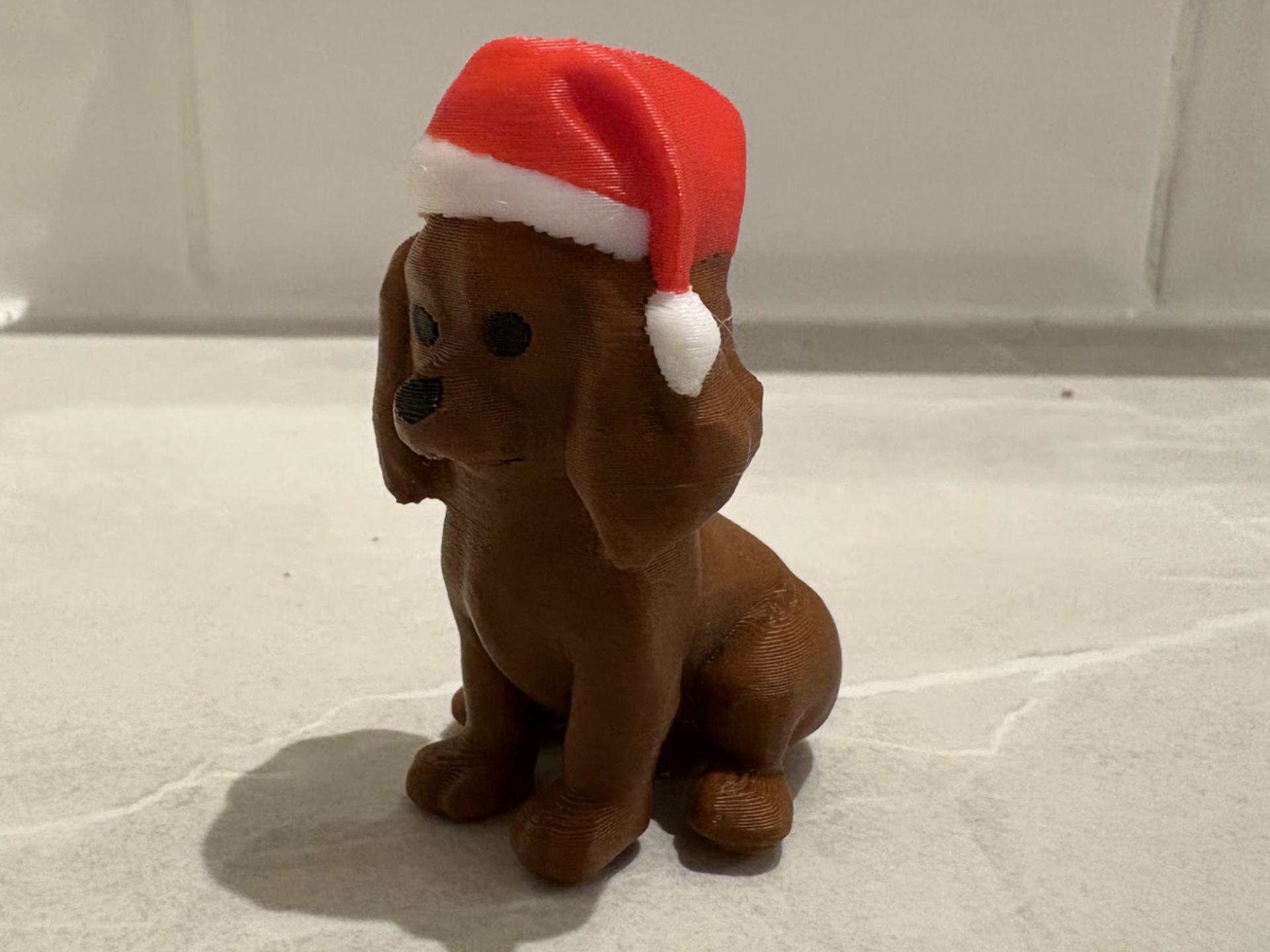 Cavalier king charles with santa hat