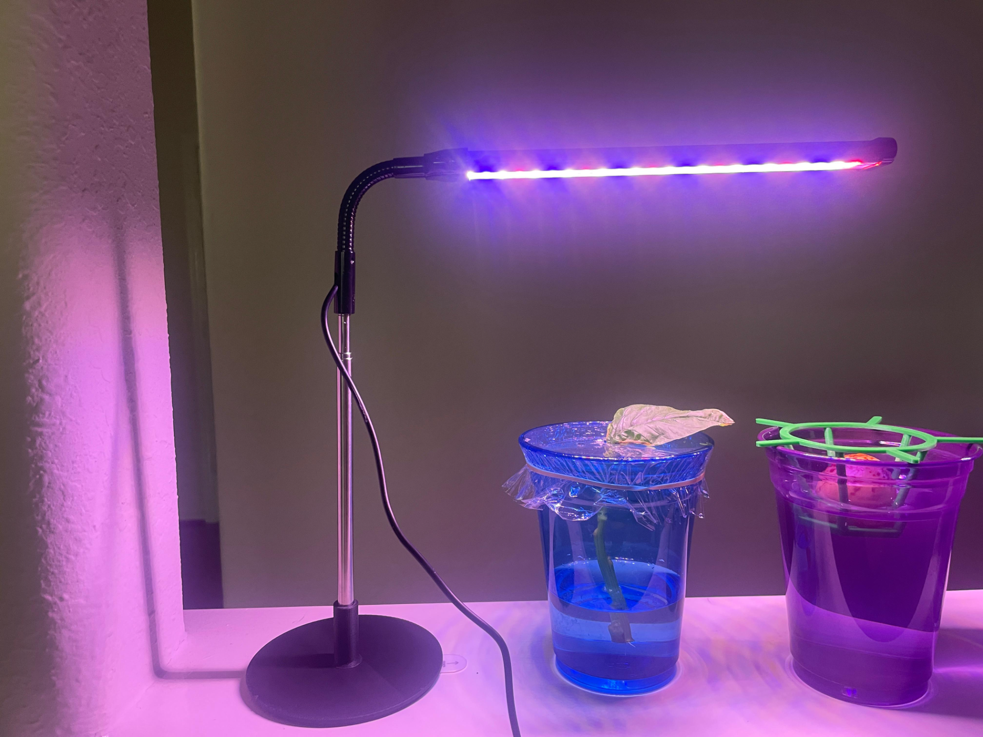 Grow Light Stand