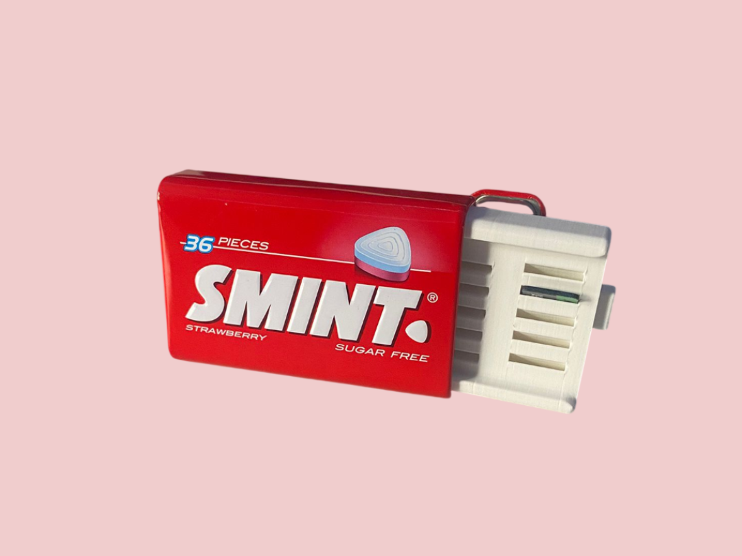 SMINT 36 Piece Case Micro SD Card Holder
