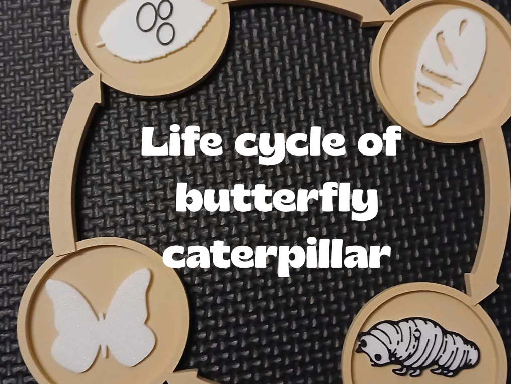 Sensory Tray – Butterfly Life Cycle
