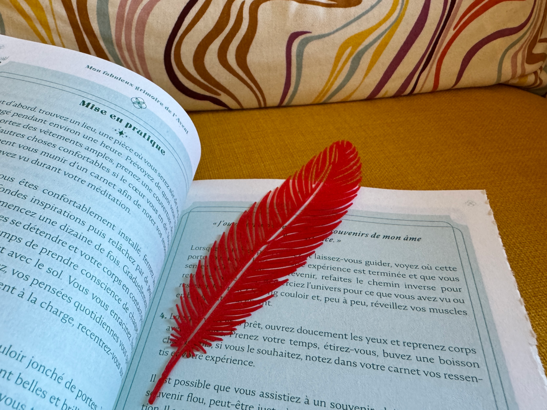 Feather bookmark / 2D art