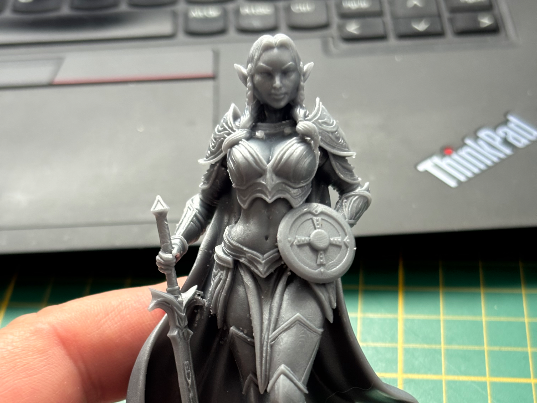 ELVEN WARRIOR MAIDEN