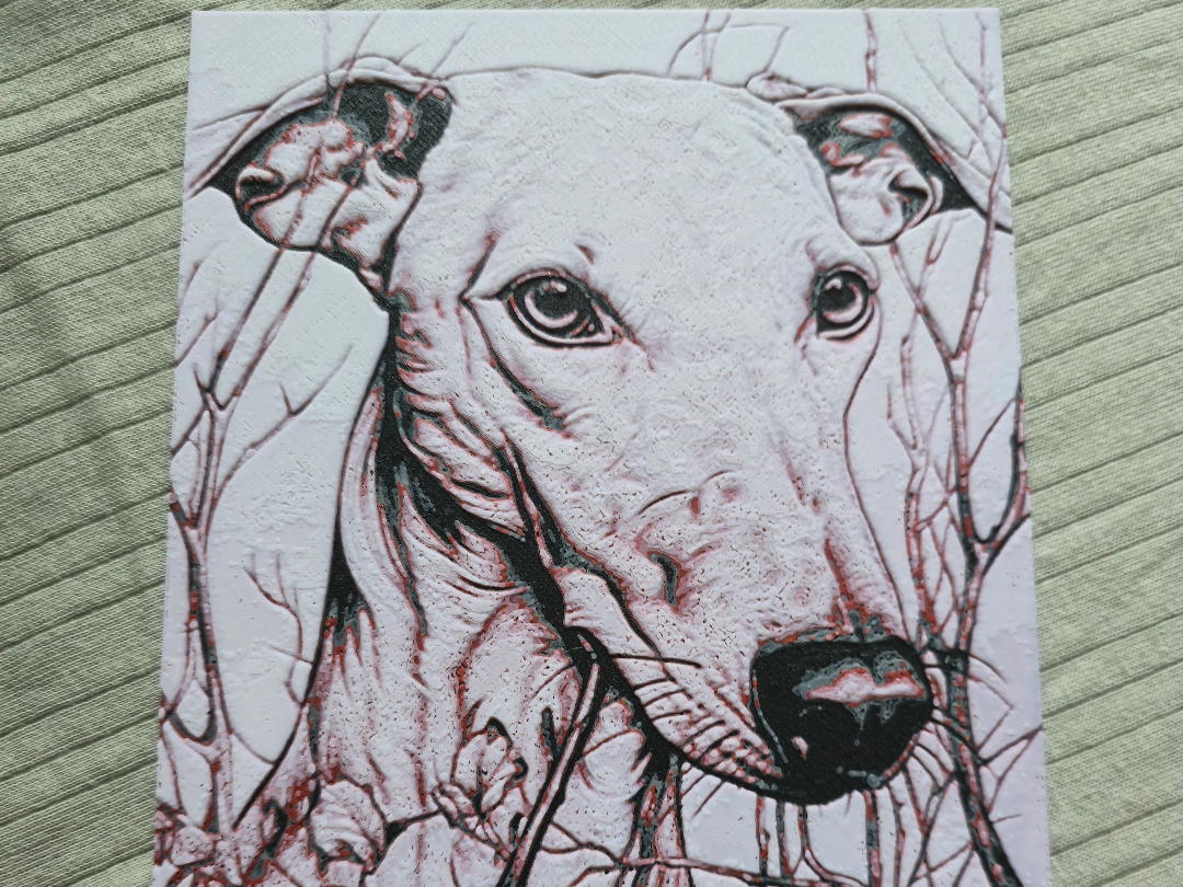Galgo Espaniol_2