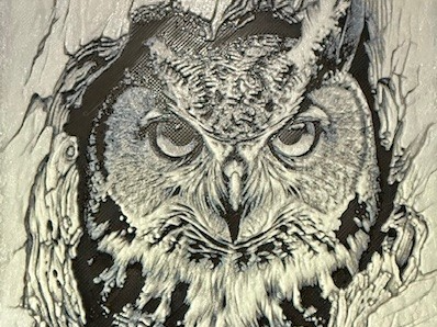 Life's a Hoot!