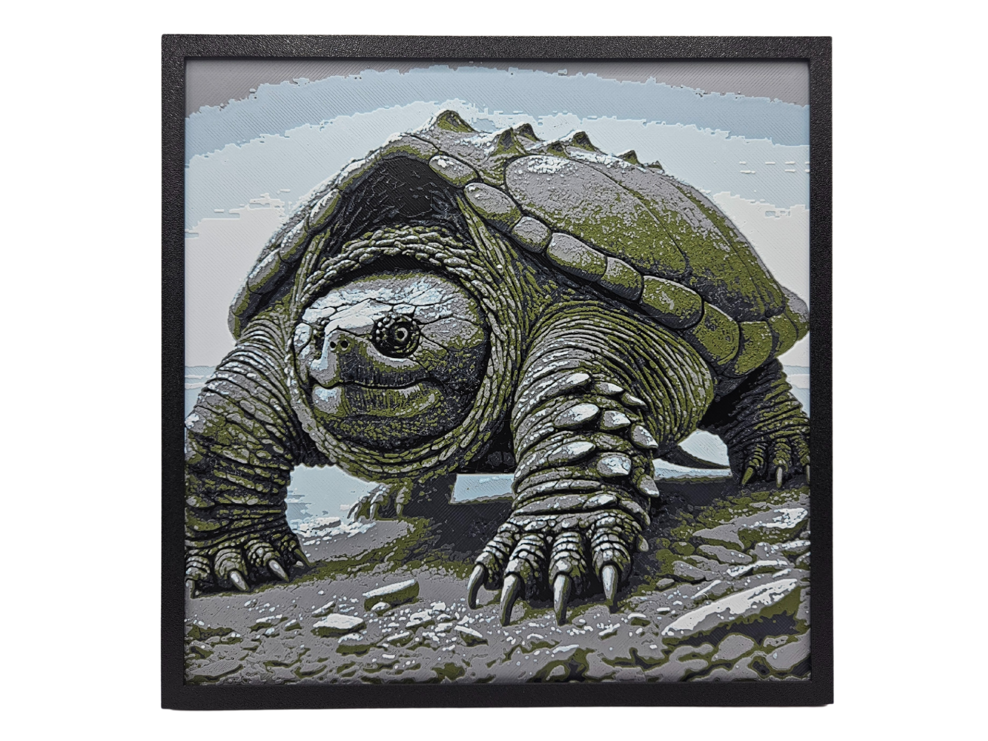 Tortoise