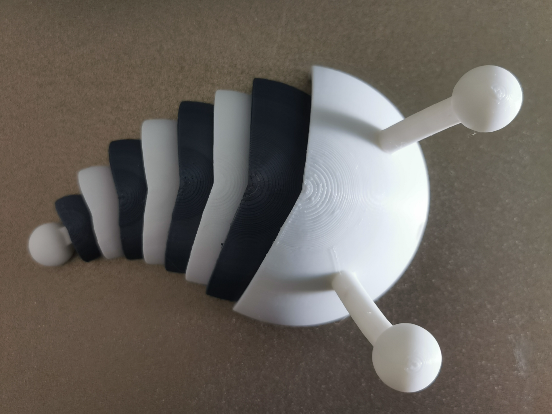 Worm,Segmented Worm