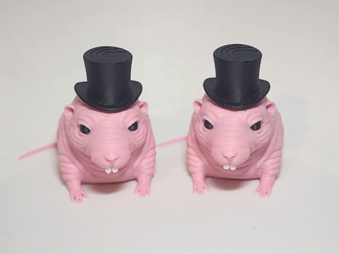 Naked Mole Rat in a Top Hat
