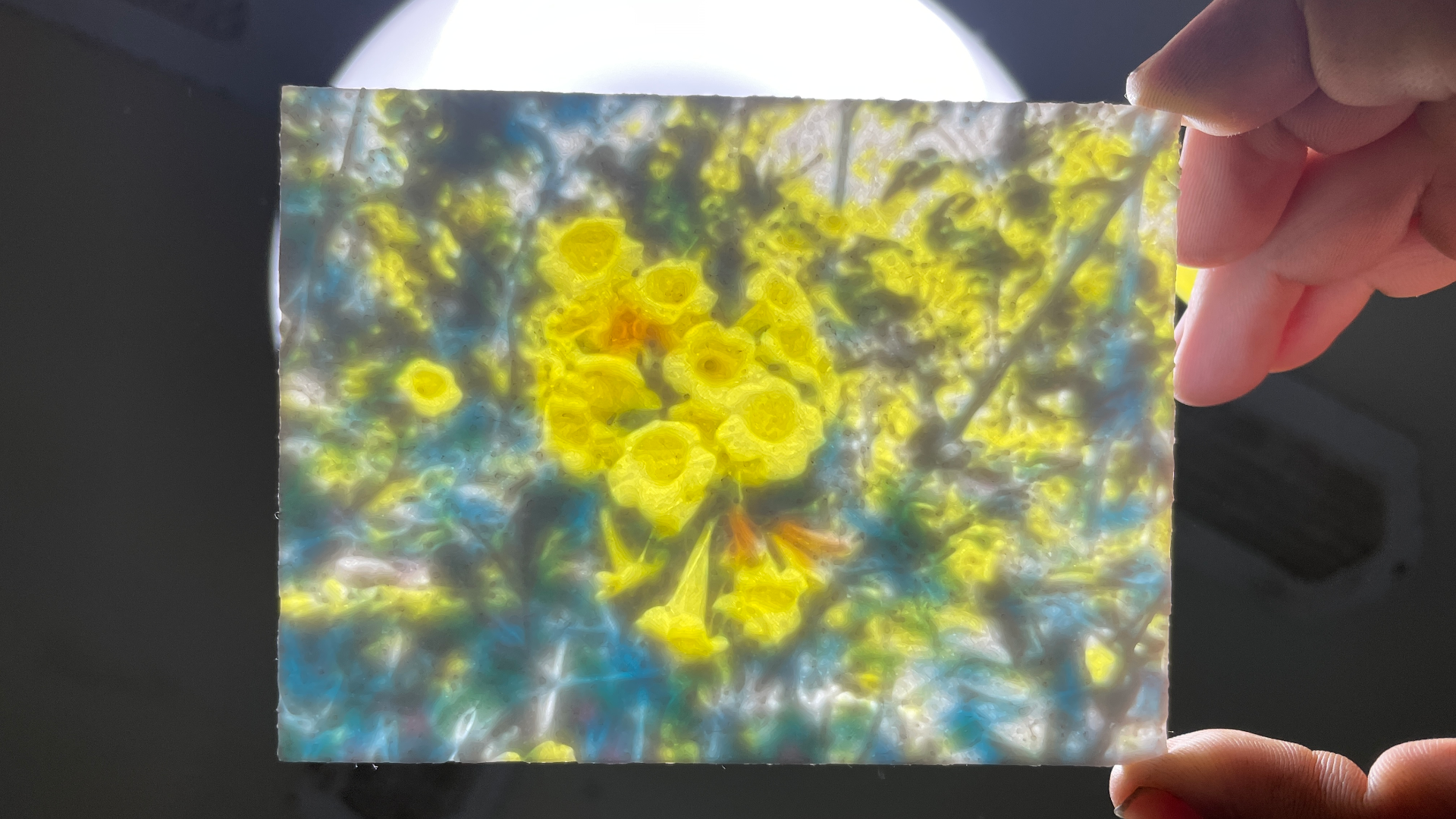Yellow Bells Flower Colour Lithophane