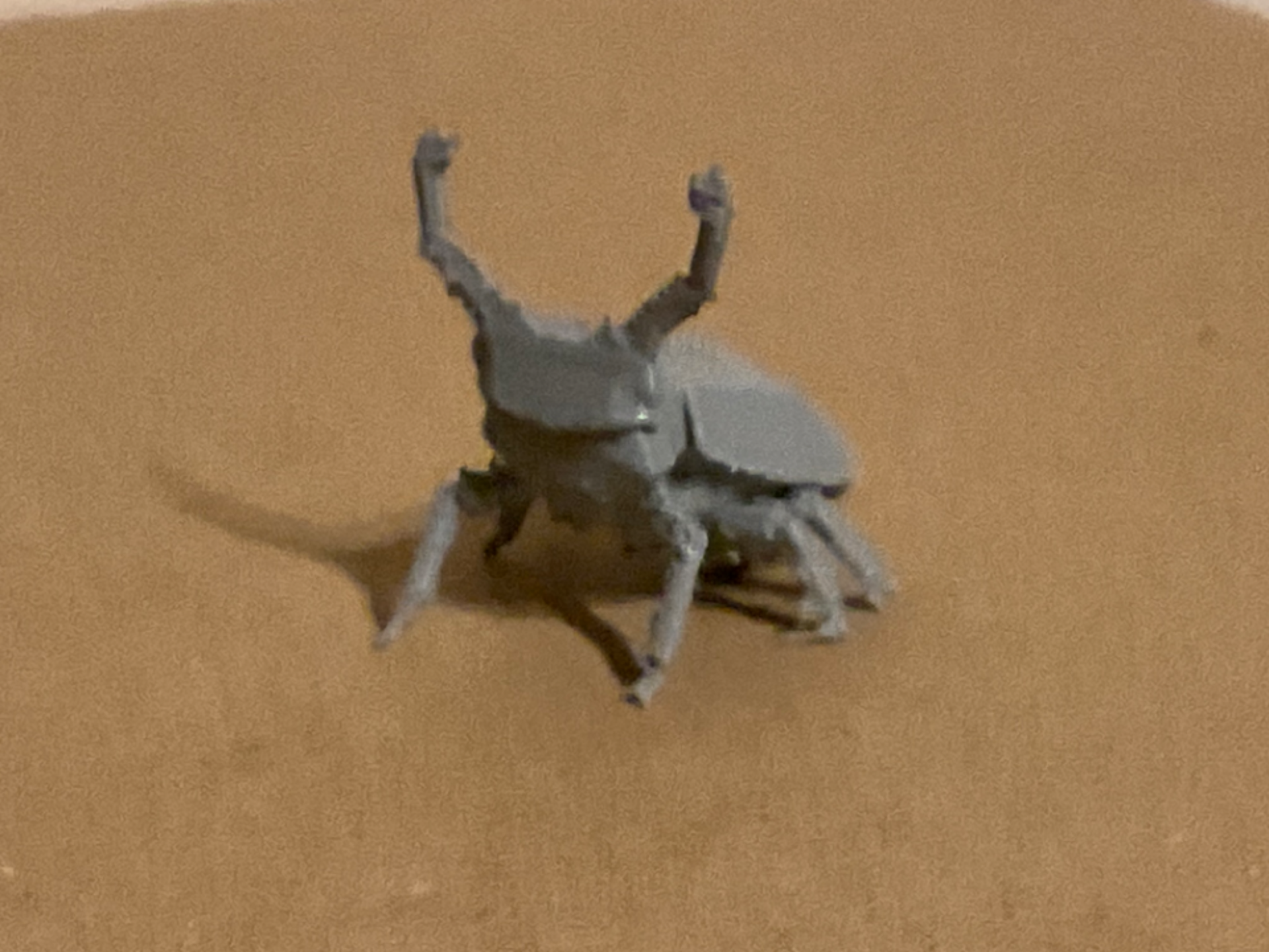 Beetle realistic figure origami
