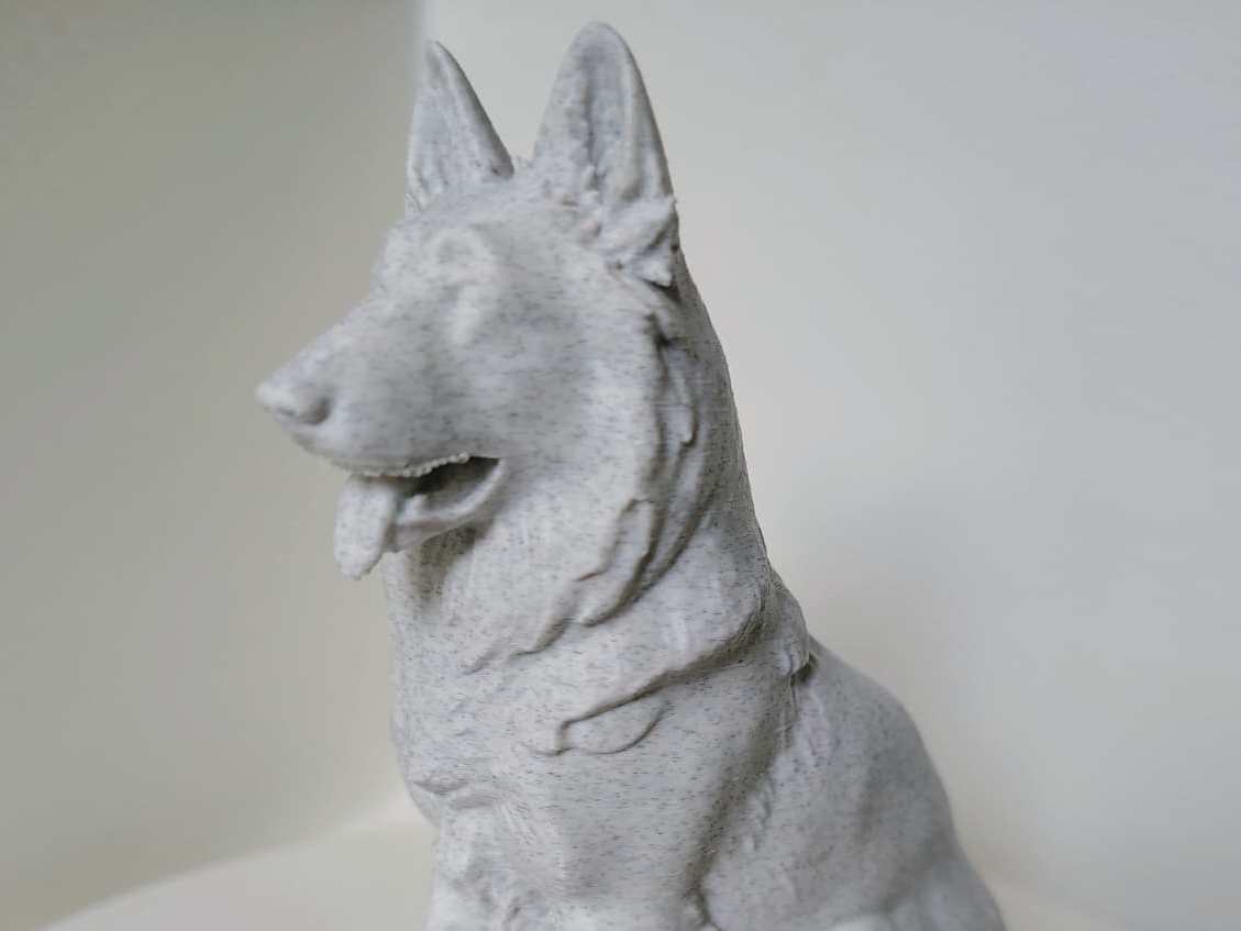 Belgischer Schäferhund - Tervueren