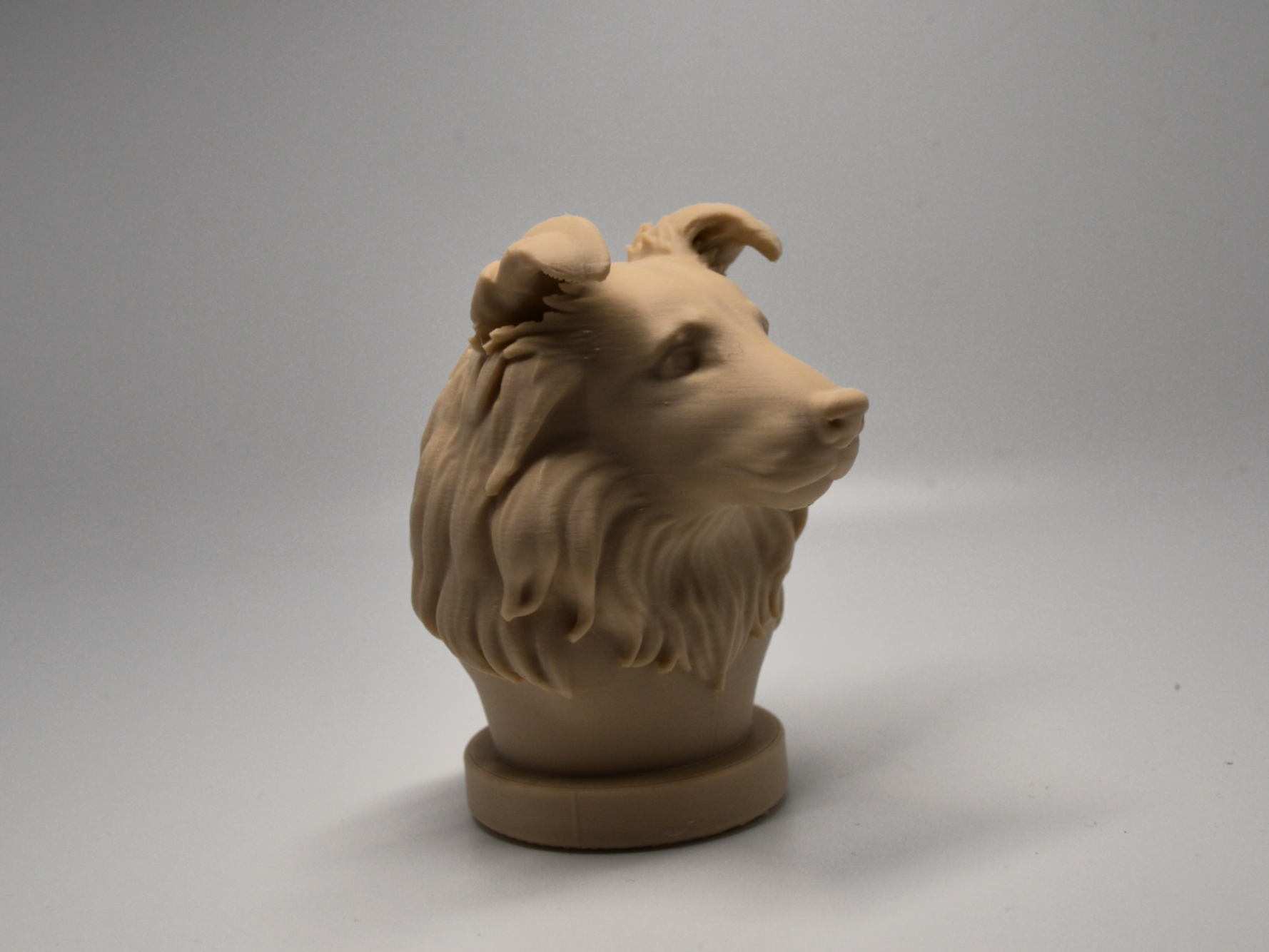 Shetland Sheepdog bust