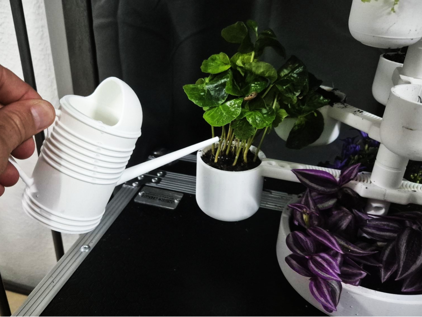 ZenCan - Watering Can