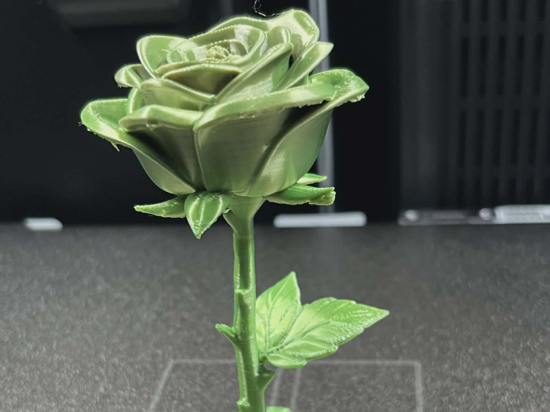 Monochrome Rose Blossom