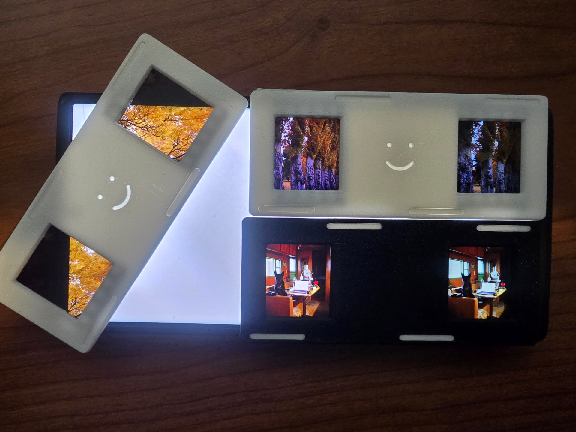Stereo Realist Slide Mount