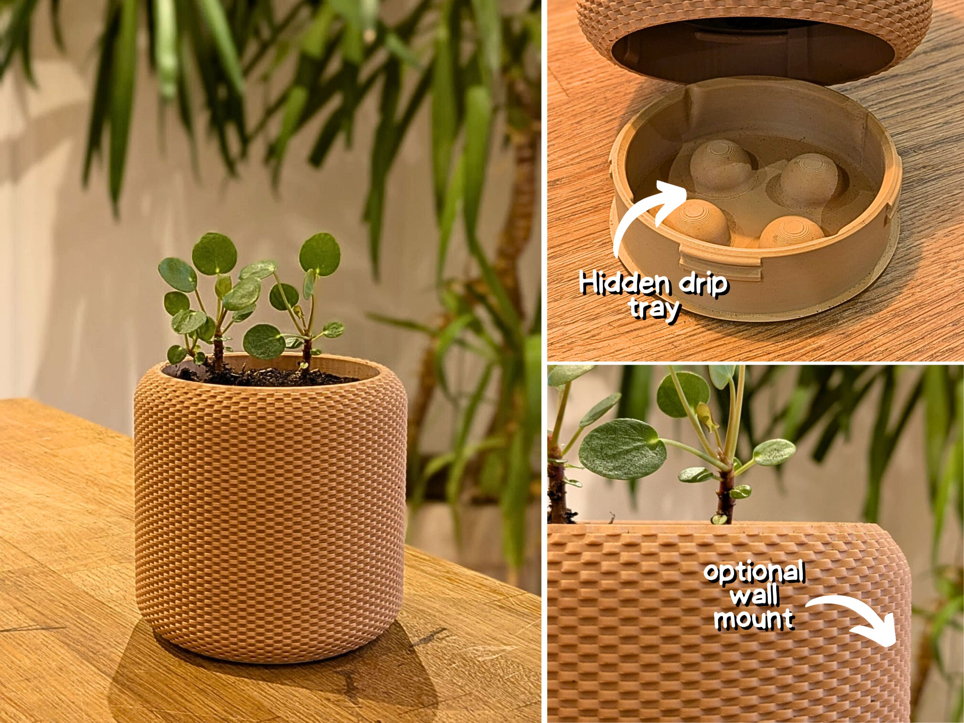 plant pot with basket structure
