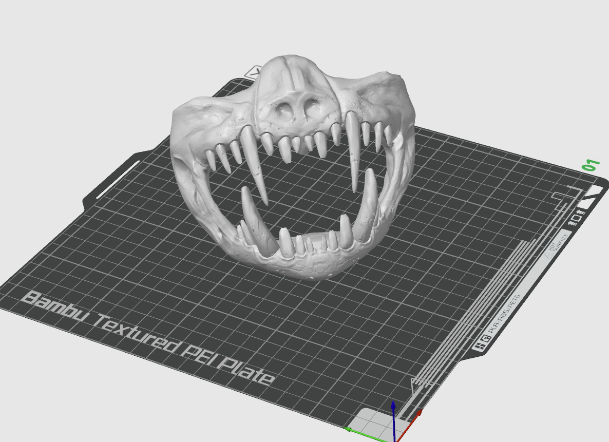 corona mask scary toothy