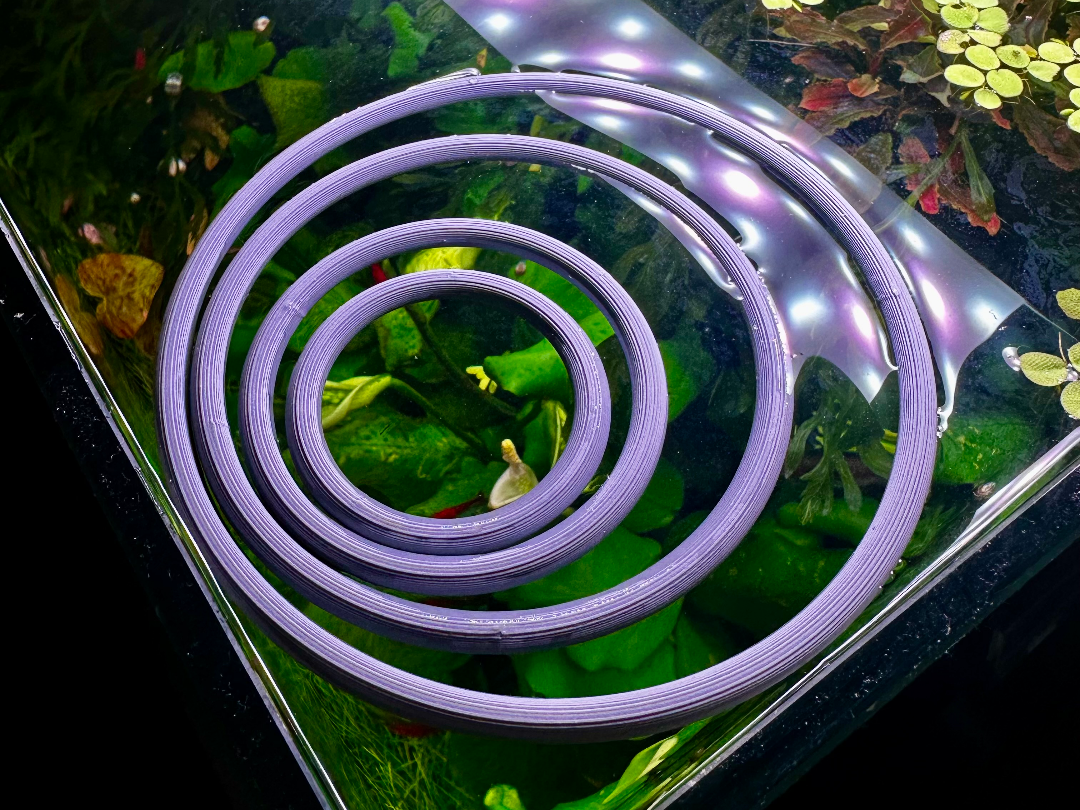 Floating Aquarium Plant & Feeding Ring