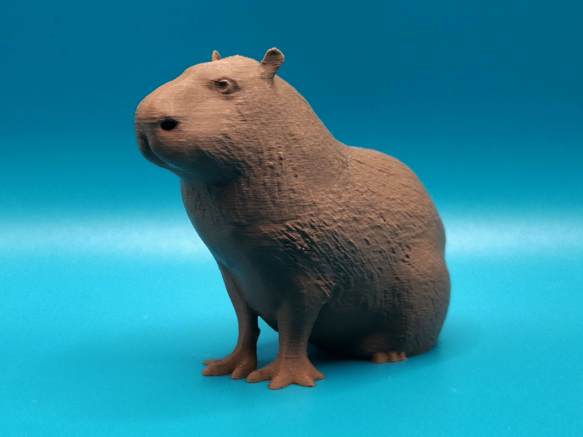 Water Capybara