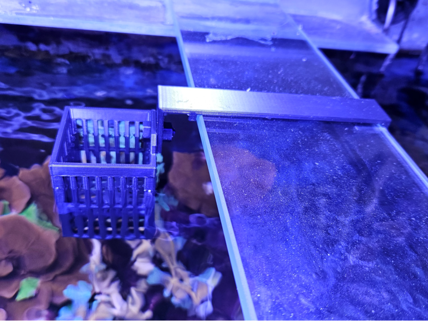 Bac pour nourriture congelée pour aquarium