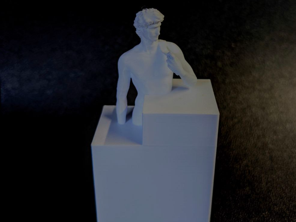 Michelangelo's David Work in progress