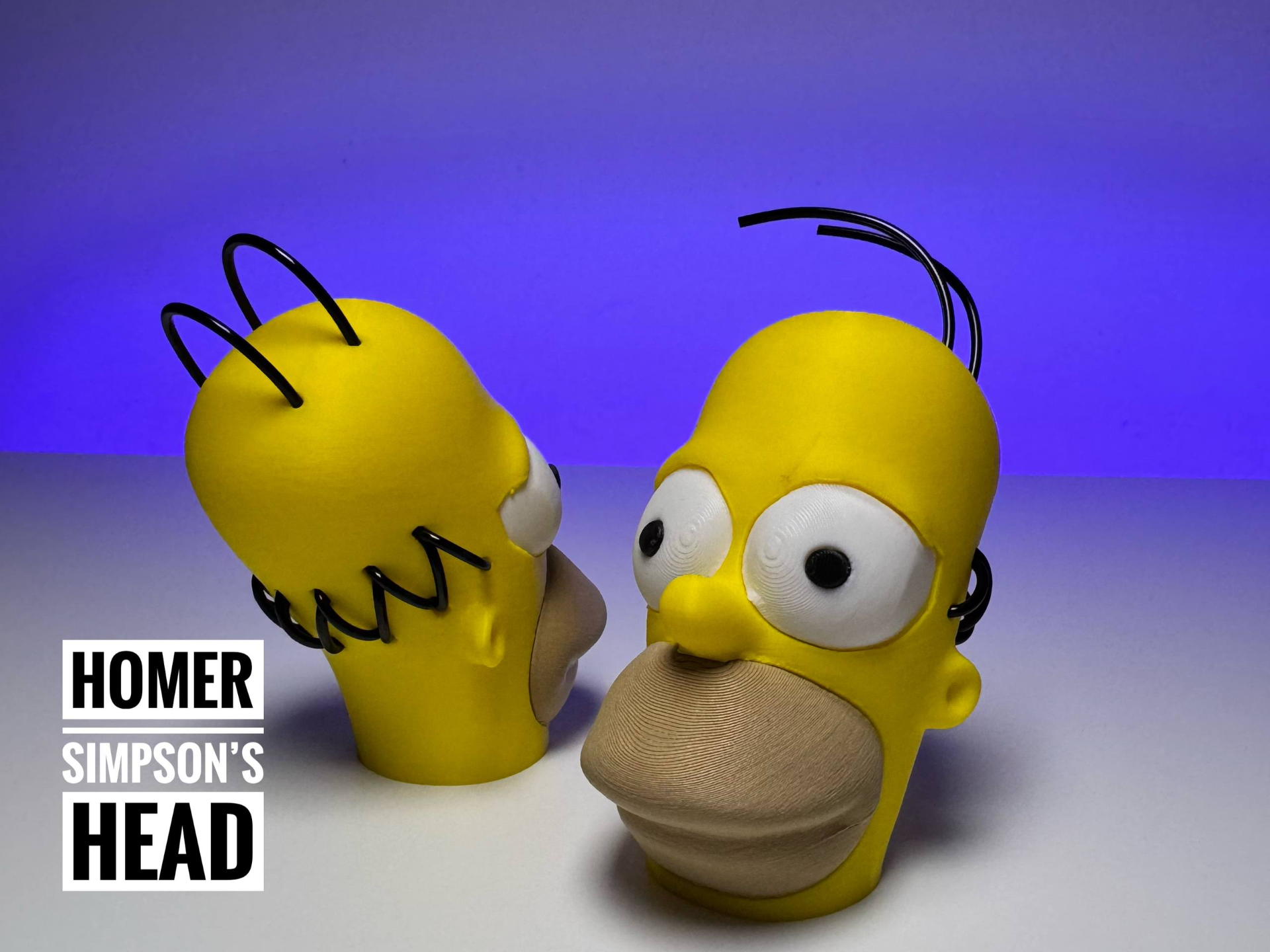 Homer Simpson's head