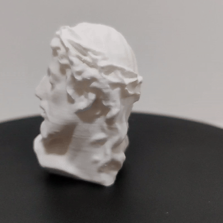 Jesus Bust