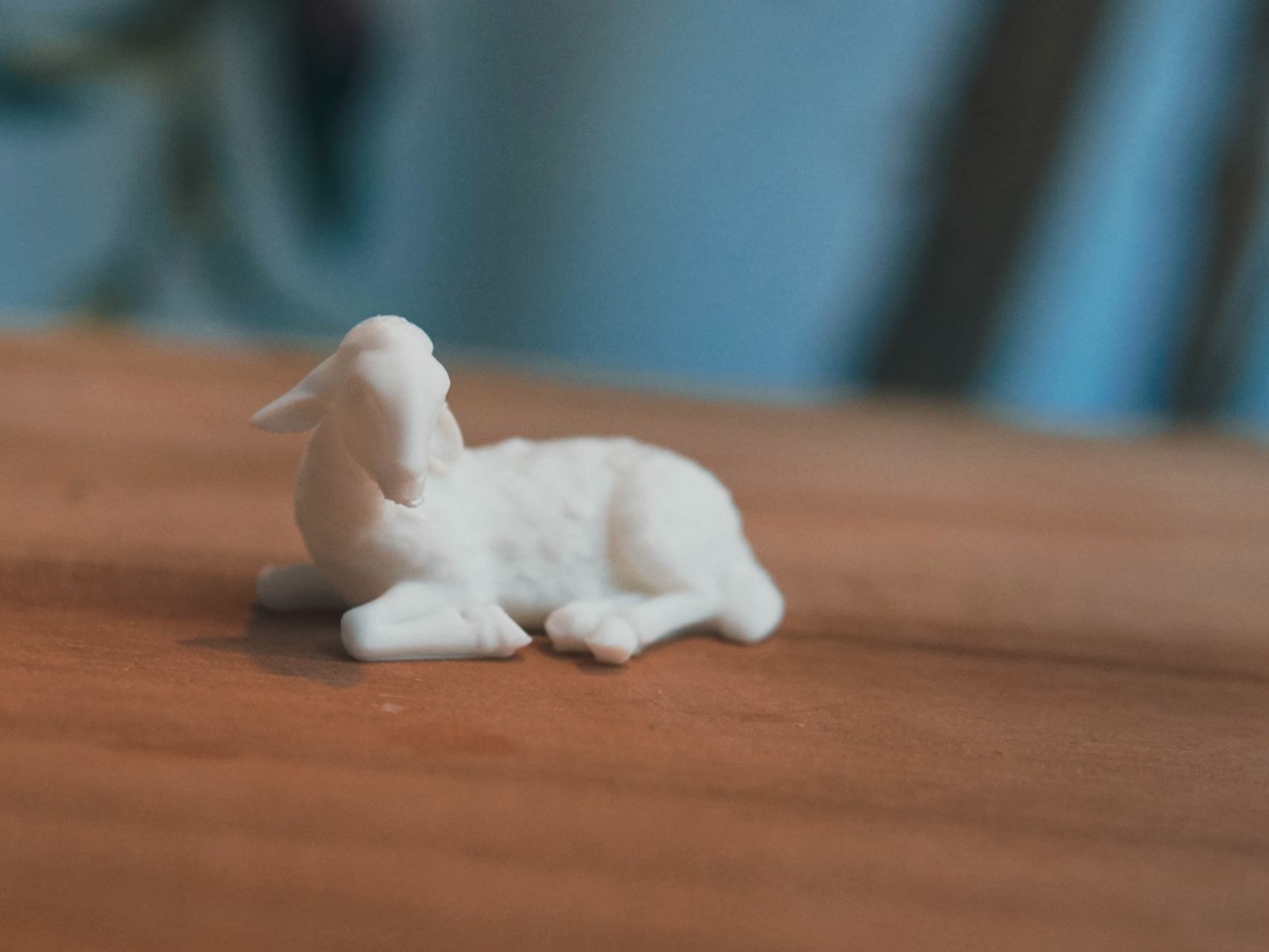 Lamb Lying Down