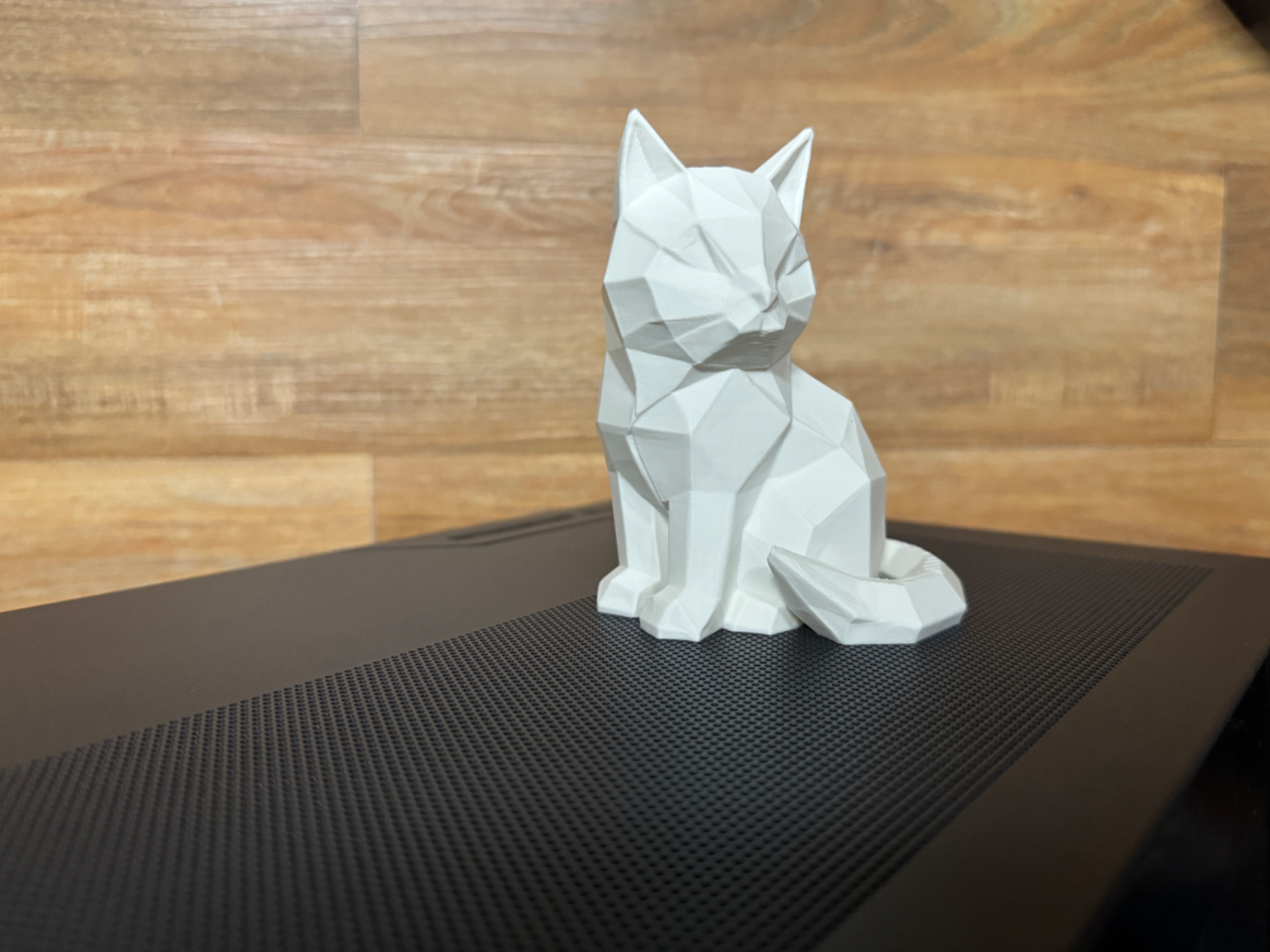 Polygon Cat