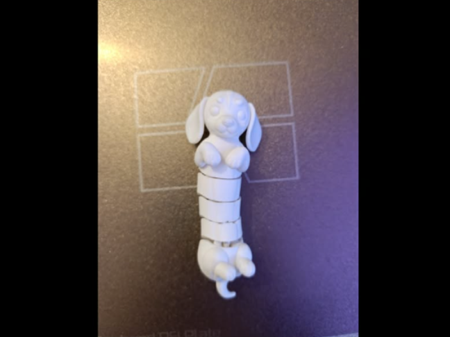 dachshund flexi  toy 3d model