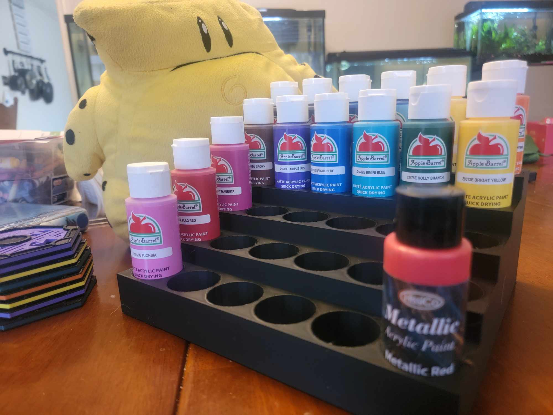 Paint Bottle Organizer, 24 count