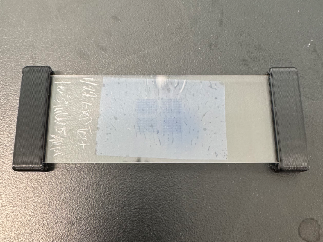 Dual Microscope Slide Clip