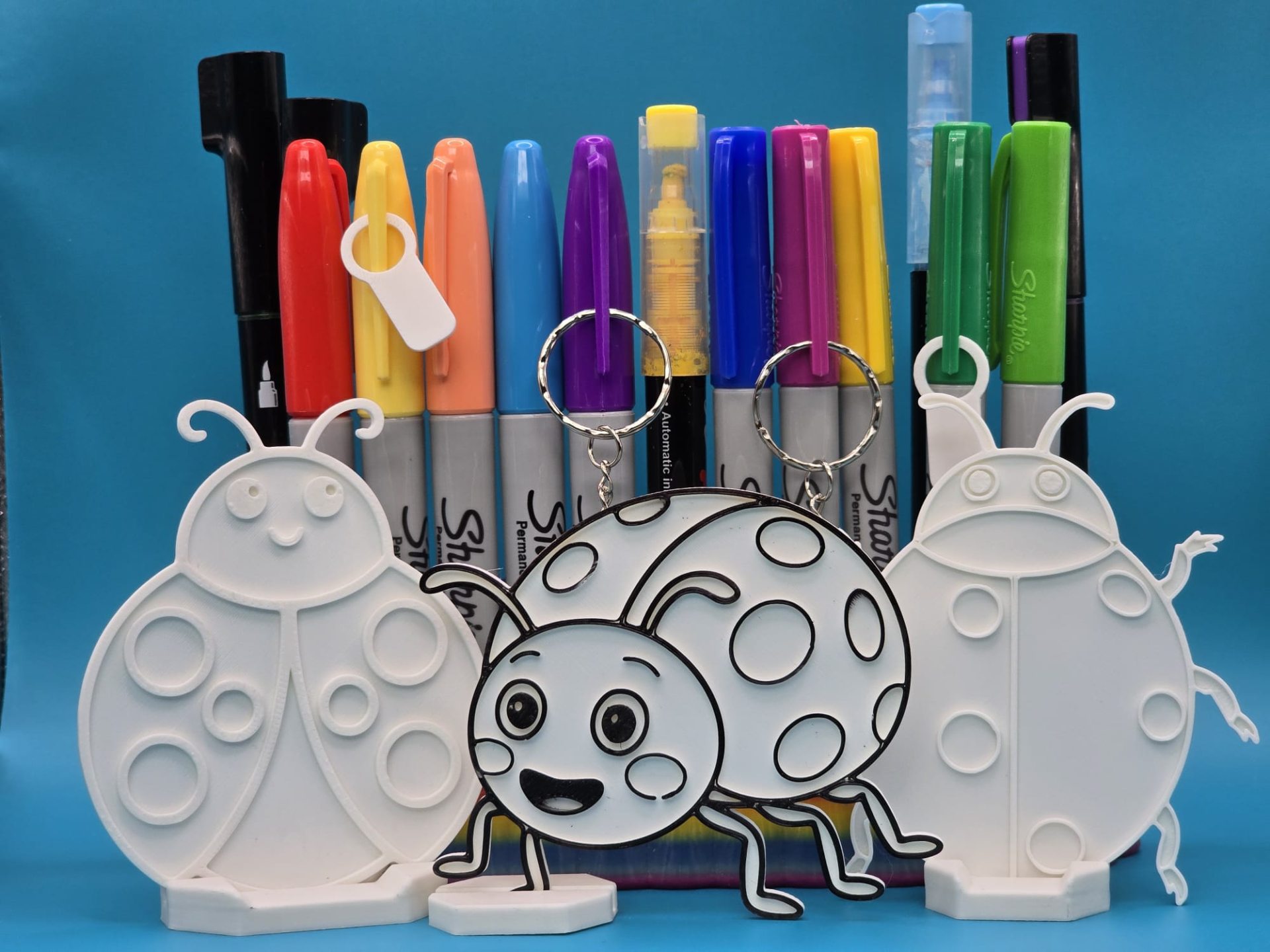 Cute Lady Bug Coloring Pack