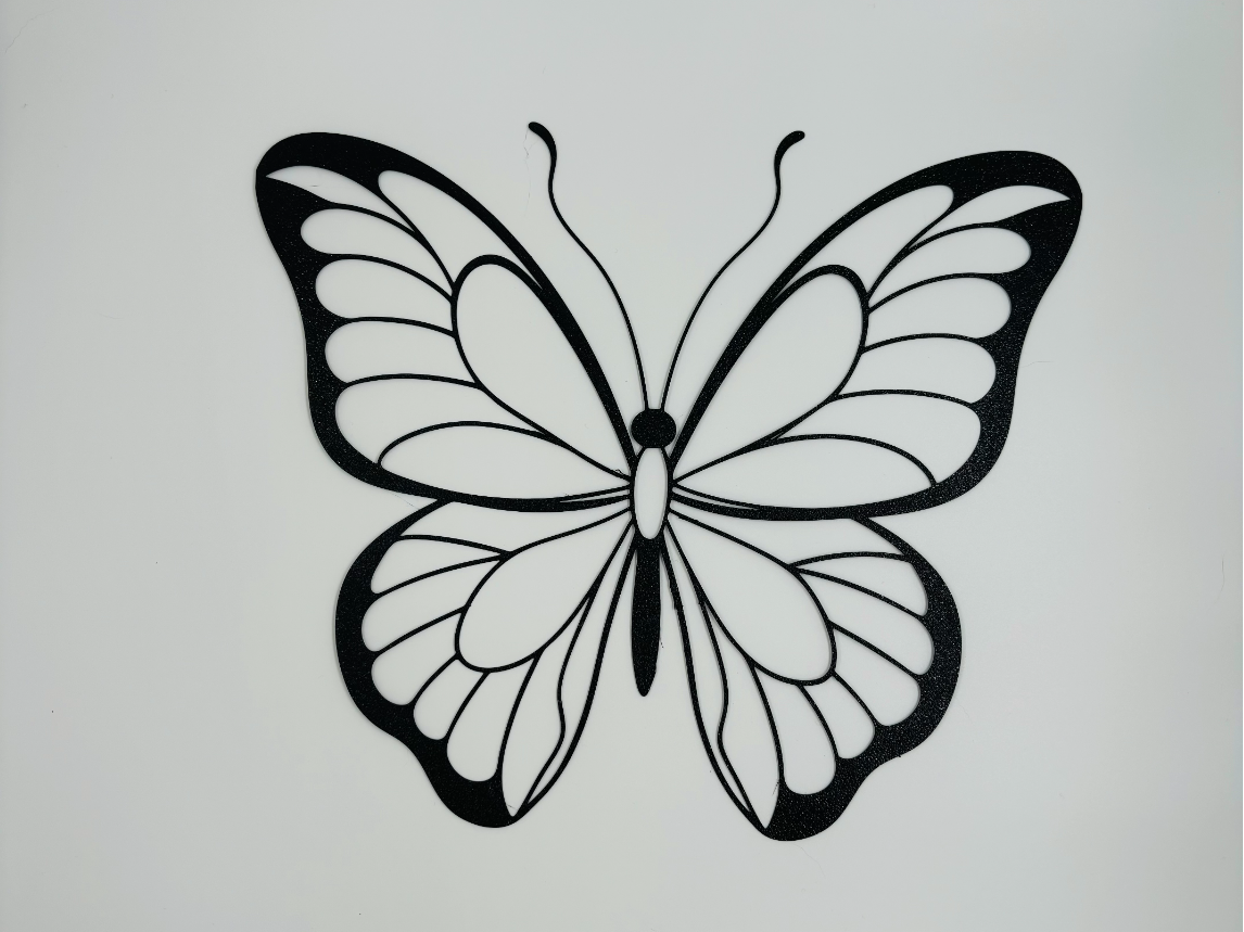 Empty butterfly wall art