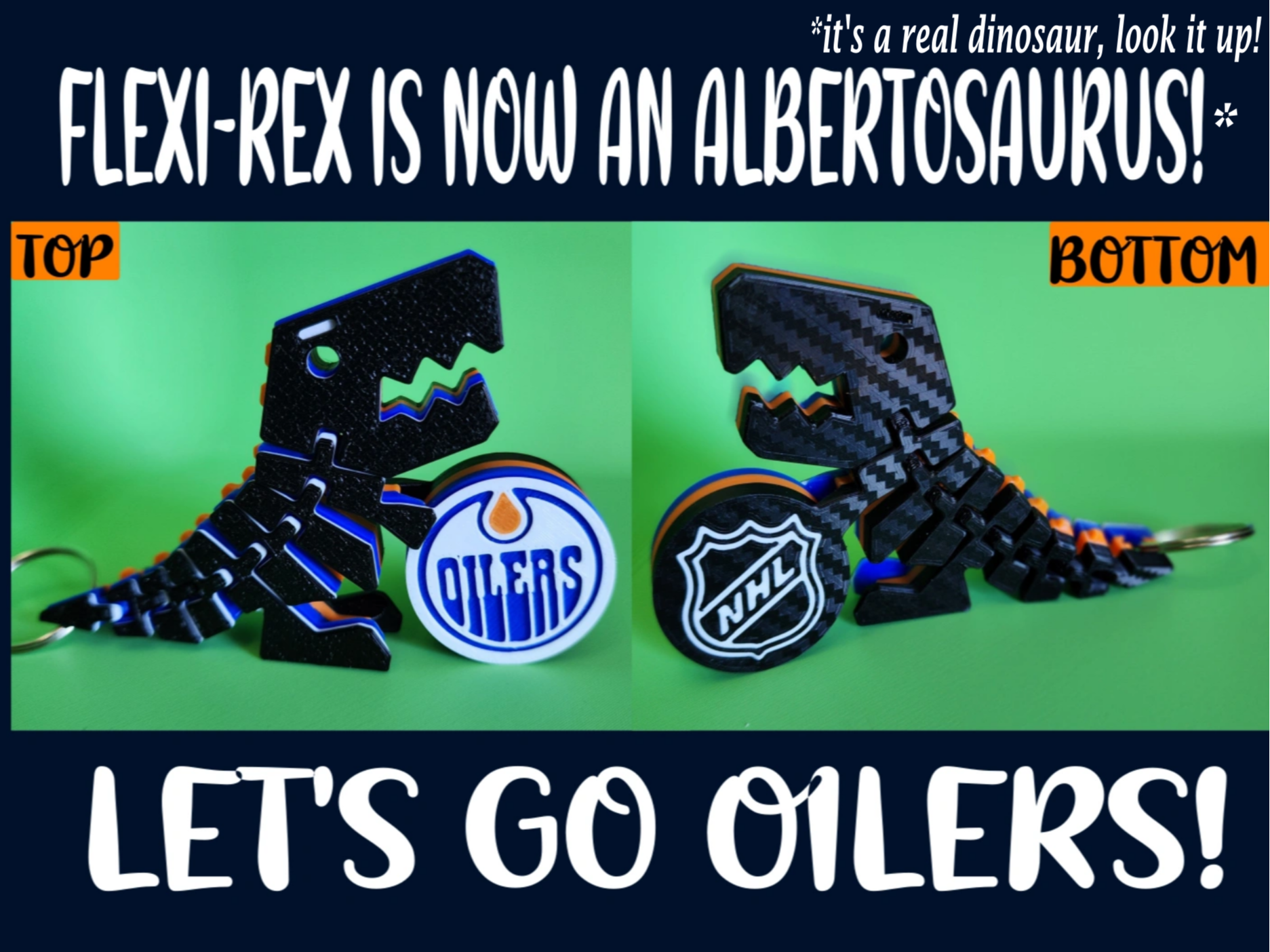The Alberta Rexi