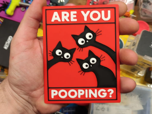 Are you pooping? cat edition