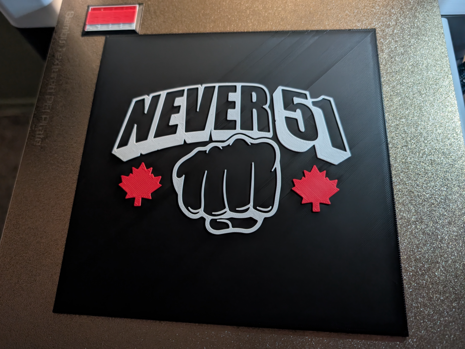 Canada Will Never be the 51st State Logo/Sign