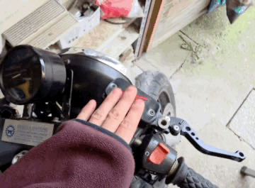Honda oil guard - no AMS
